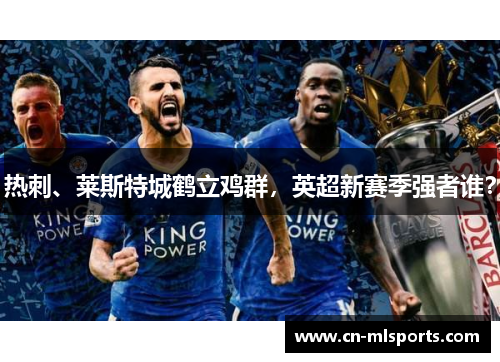 热刺、莱斯特城鹤立鸡群，英超新赛季强者谁？